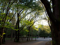 公園散策　その2