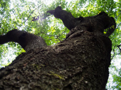 公園散策Part2-4