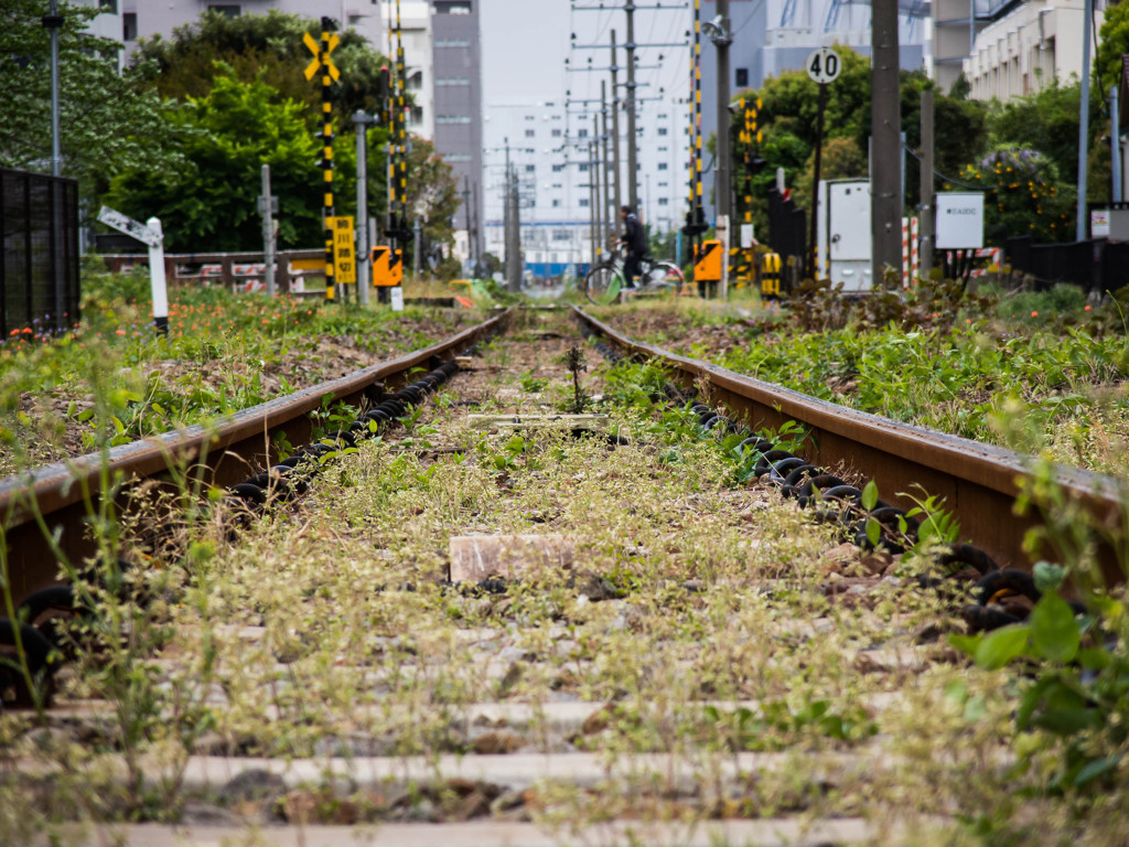 荒びれた単線