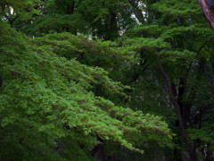 公園散策　その3
