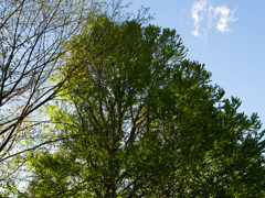 公園散策その1