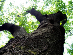 公園散策Part2-3