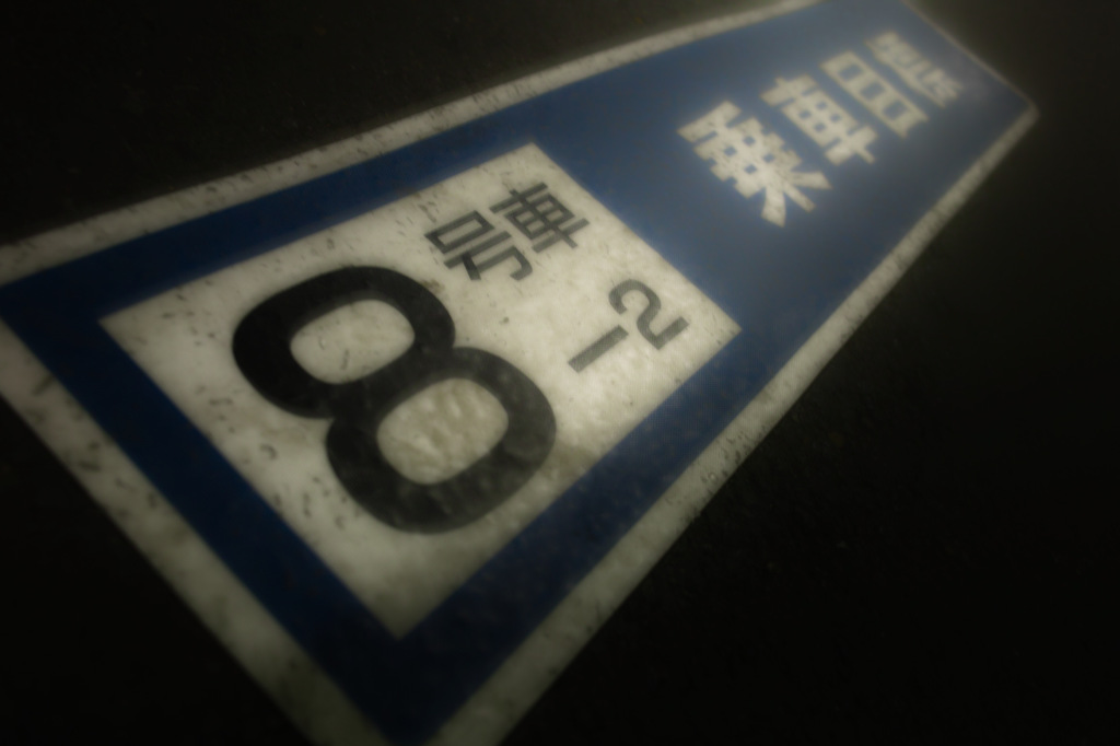 久しぶりの電車