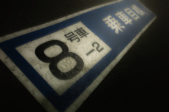 久しぶりの電車
