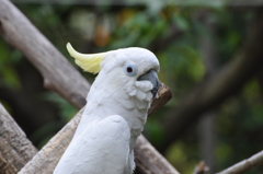 上野動物園にて