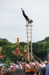 加賀鳶