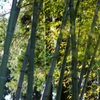 DSC00322