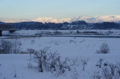 DSC01351-1