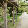 DSC08015
