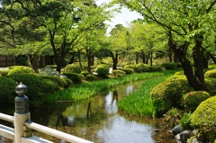 新緑の兼六園