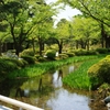 新緑の兼六園
