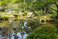 新緑の兼六園