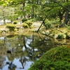 新緑の兼六園