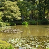 新緑の兼六園