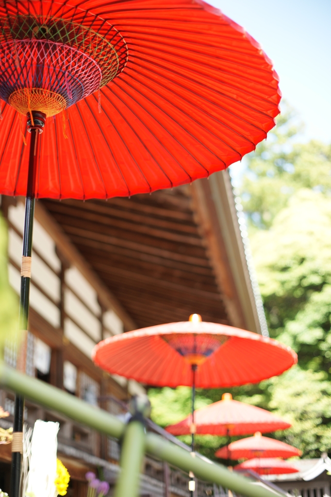 尾山神社