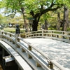 新緑の兼六園