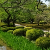 新緑の兼六園