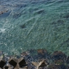 日本海だって　エメラルドグリーン