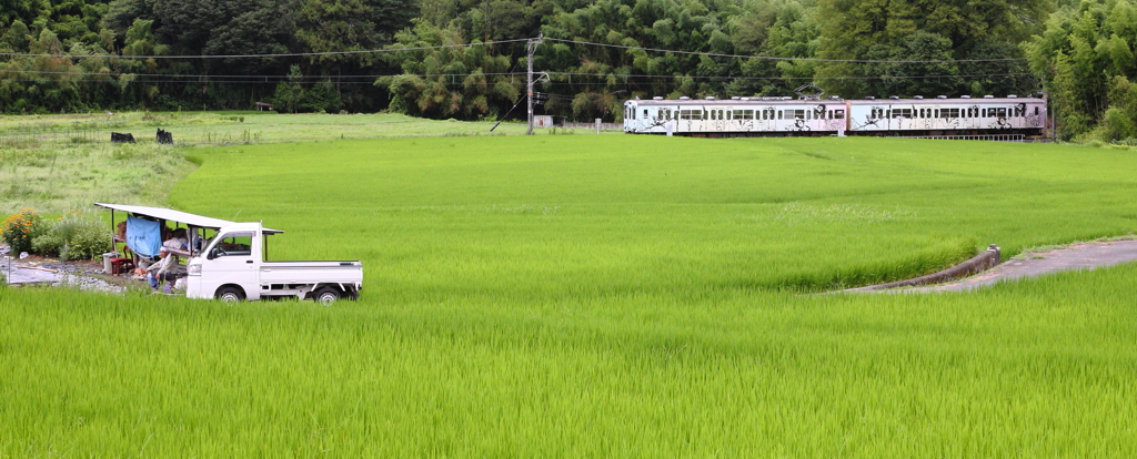 田園