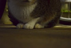 じっ…