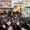 岸和田だんじり祭