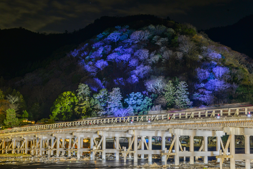 嵐山　ライトアップ