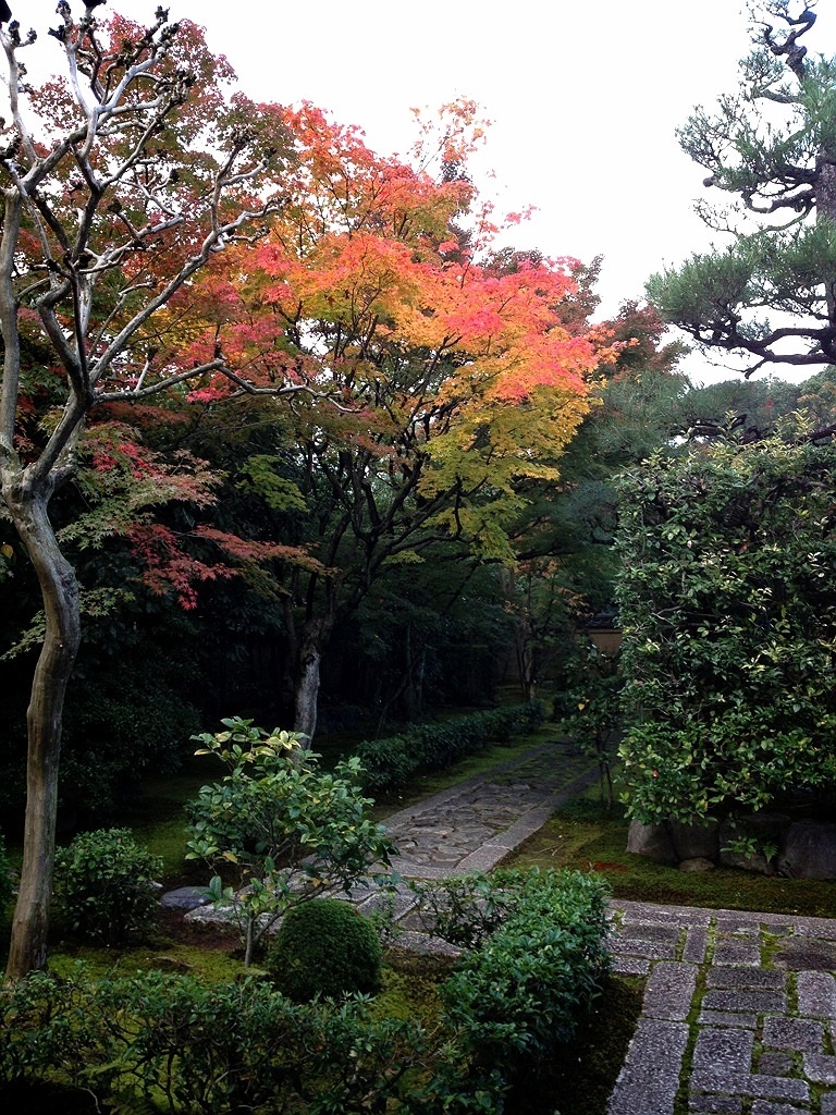 大徳寺