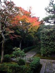 大徳寺