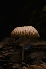 DSC_8113
