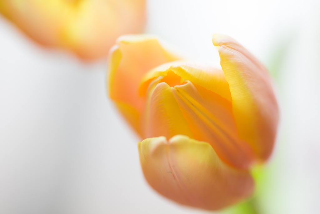 _D8E7200