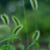 DSCF0995
