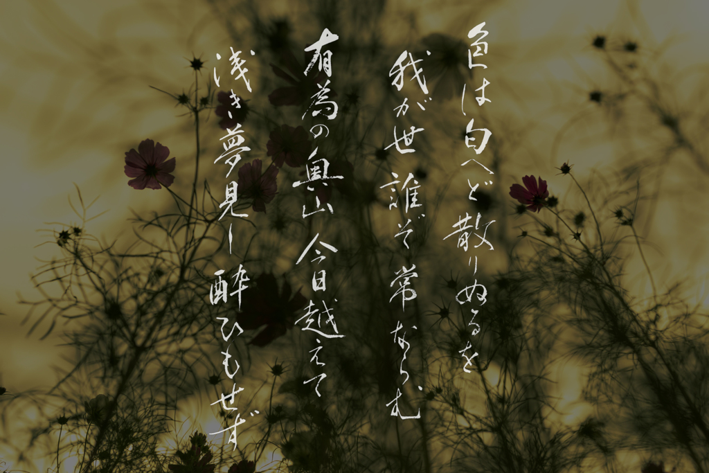 色は匂えどちりぬるを  (in collaboration with YOME)