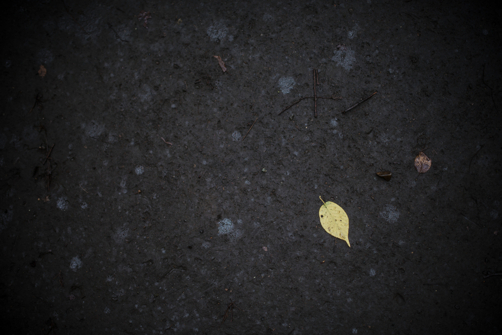 _D8E0889