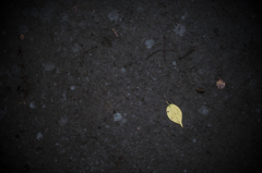 _D8E0889