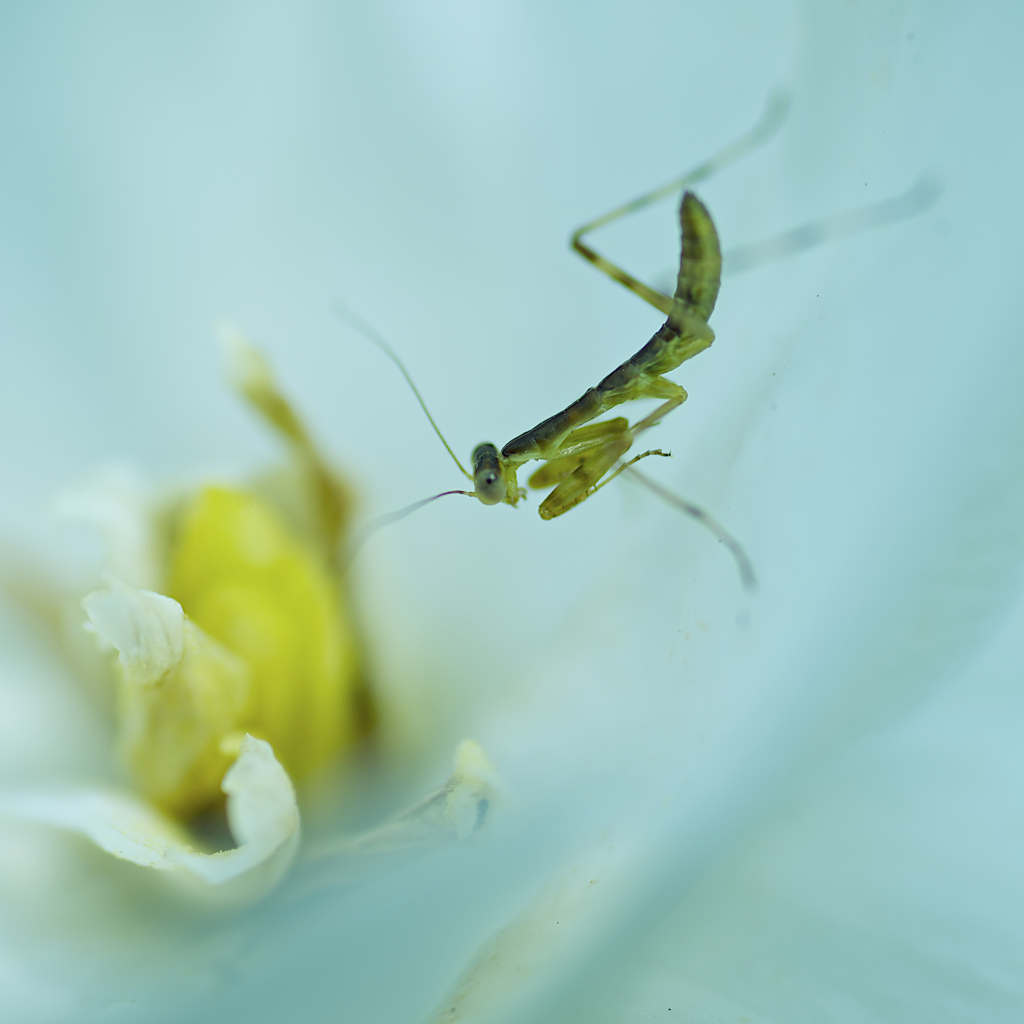 _DSC8410