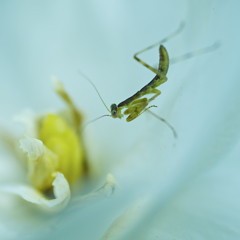 _DSC8410
