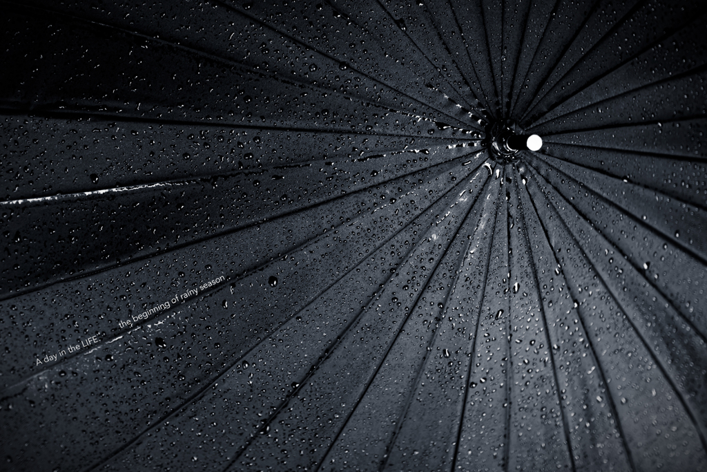 rainy season