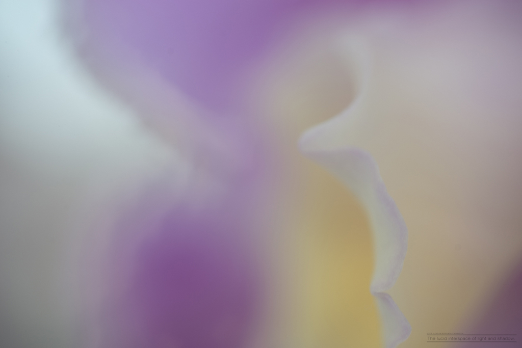 Color's #01