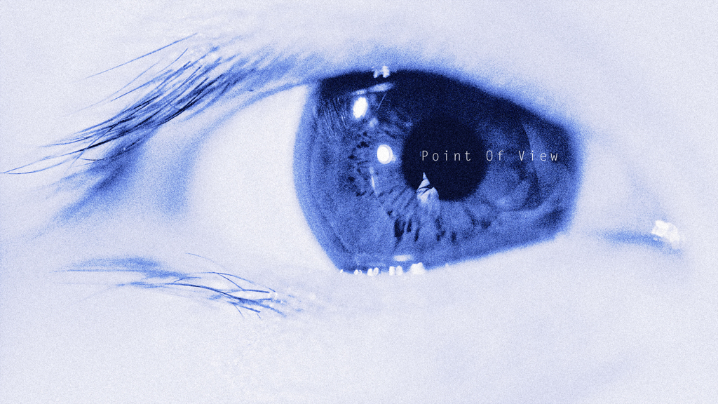 Point of View