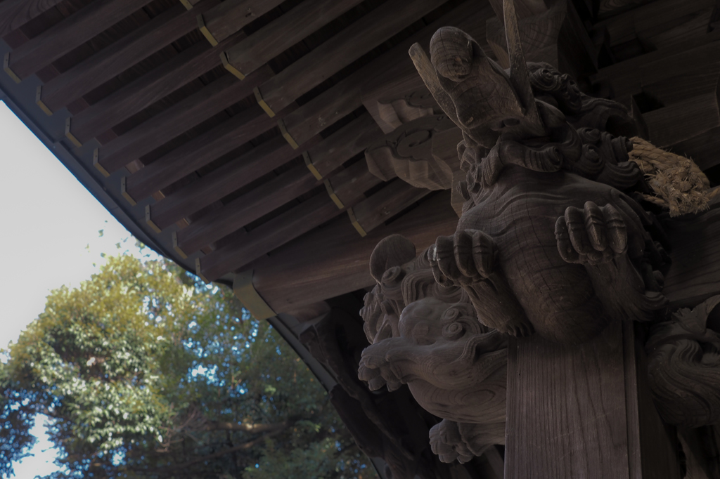 E-M5 Mark II  TEST SHOT