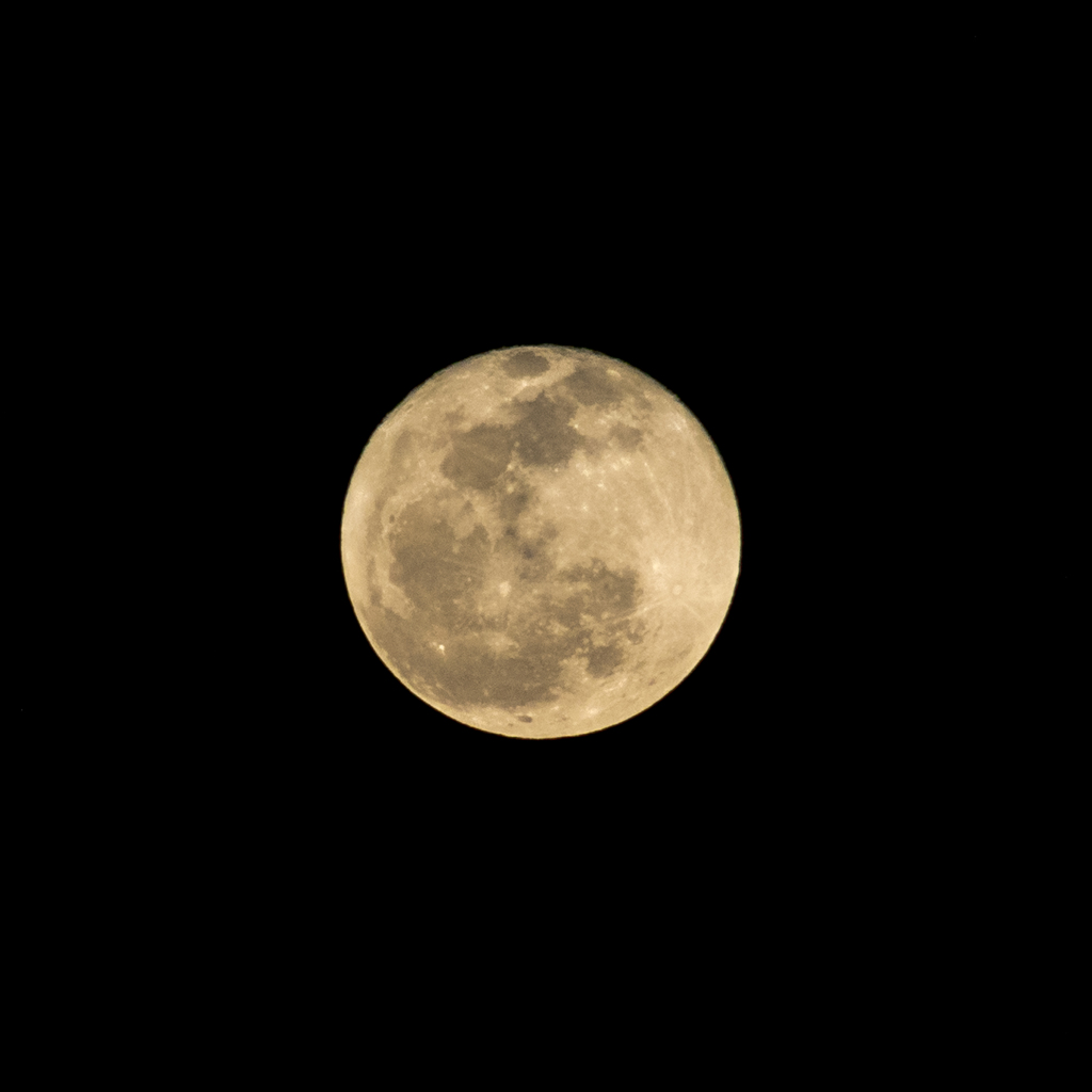 FULL MOON