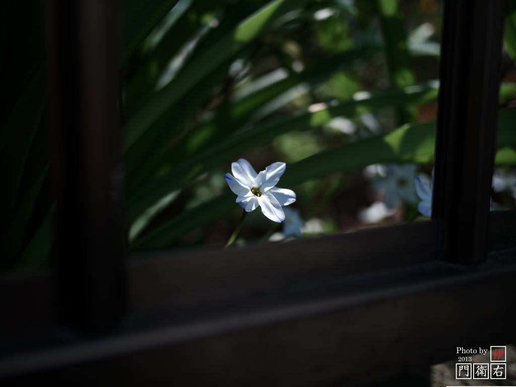 背伸び