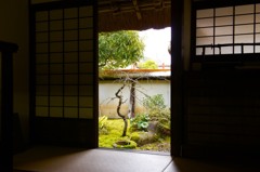 まだまだ春は遠い様で