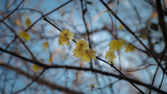 E-M5 Mark II  TEST SHOT