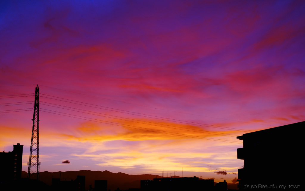 DSC_1173
