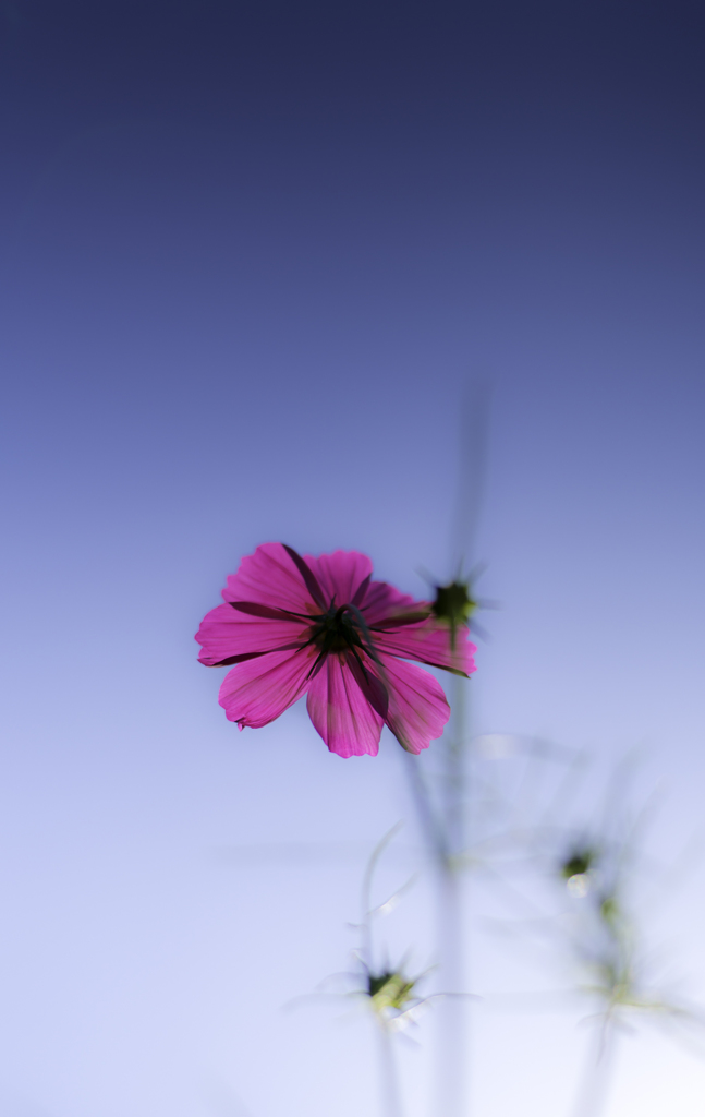 20131013-DSC_3091