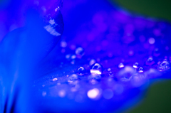 Rain #2