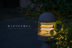 明日こそ外出するぞ