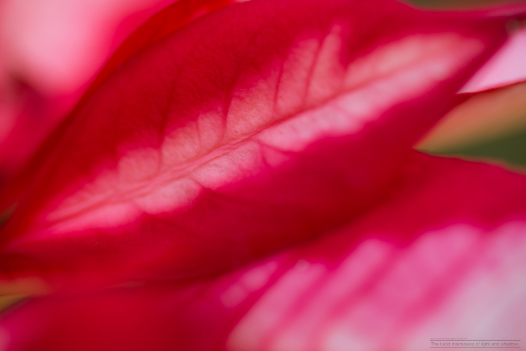 Color's #14