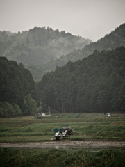 田植え
